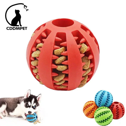 Dog IQ Puzzle Ball