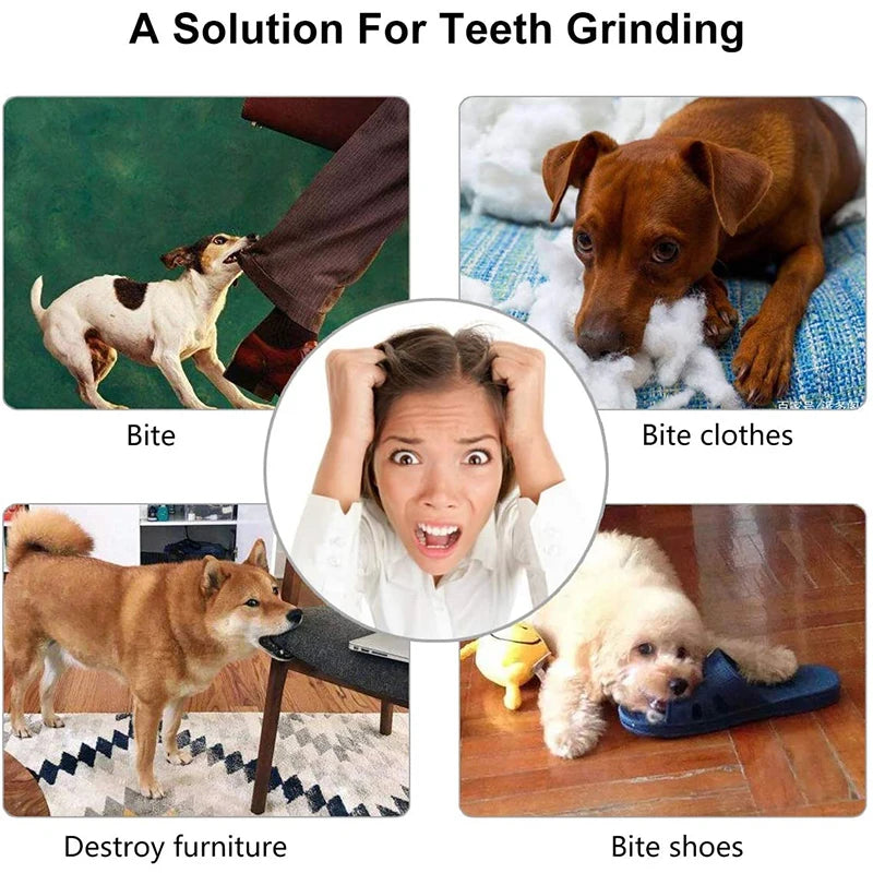 Dog IQ Puzzle Ball