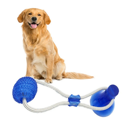 Suction Cup Dog Tug Toy