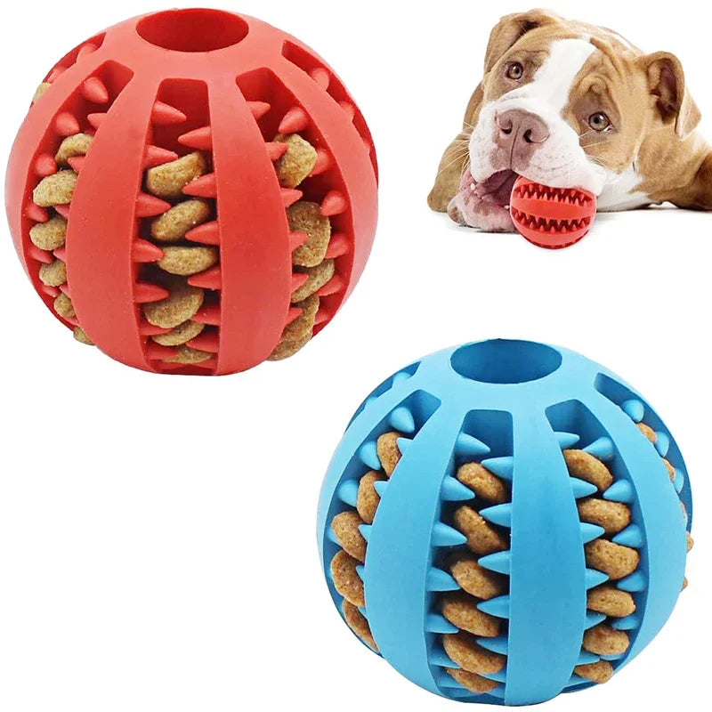 Dog IQ Puzzle Ball