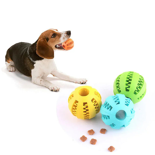Dog IQ Puzzle Ball