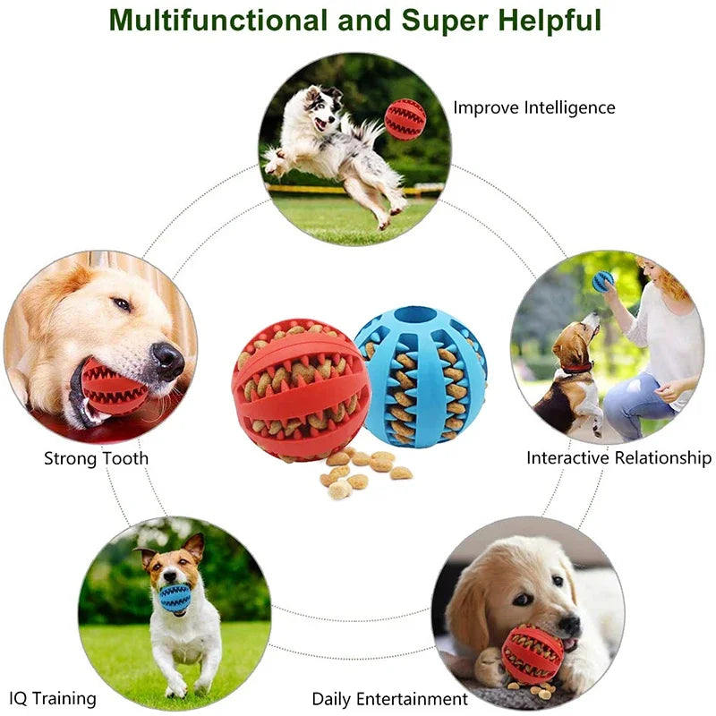 Dog IQ Puzzle Ball