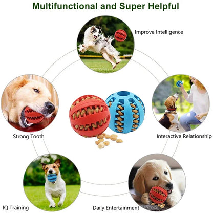 Dog IQ Puzzle Ball