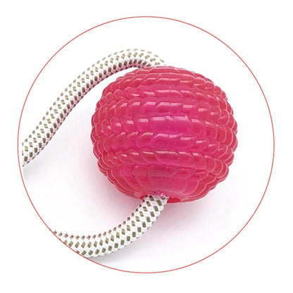 Suction Cup Dog Tug Toy