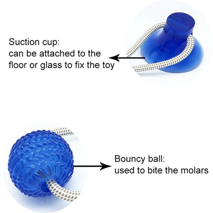 Suction Cup Dog Tug Toy