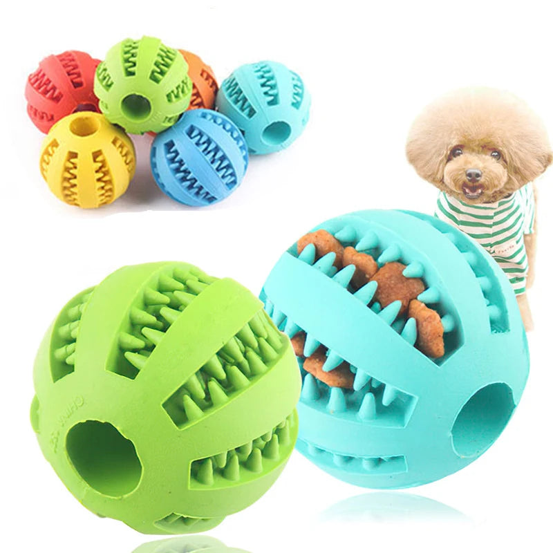Dog IQ Puzzle Ball