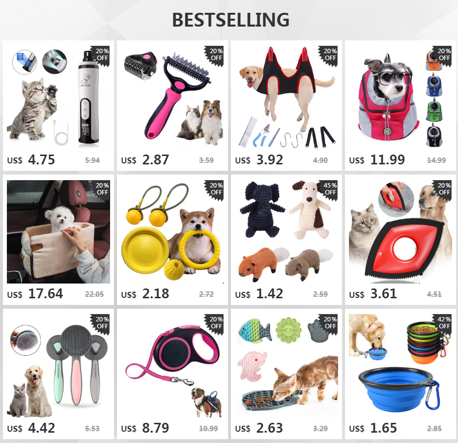 Dog IQ Puzzle Ball