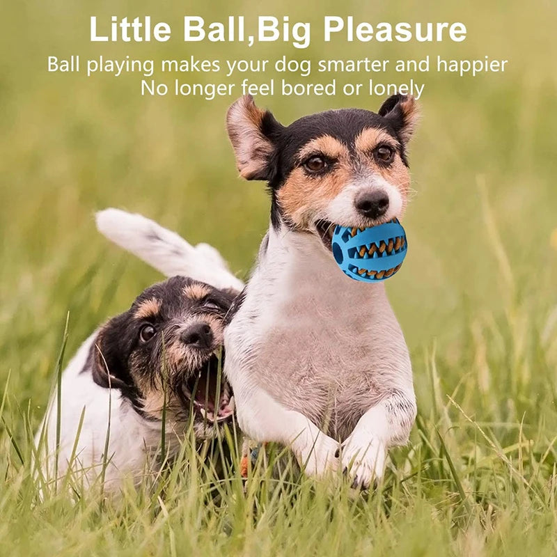 Dog IQ Puzzle Ball