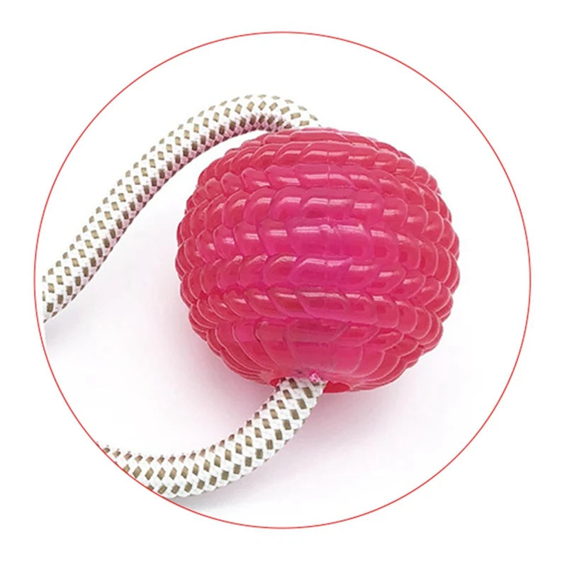 Suction Cup Dog Tug Toy